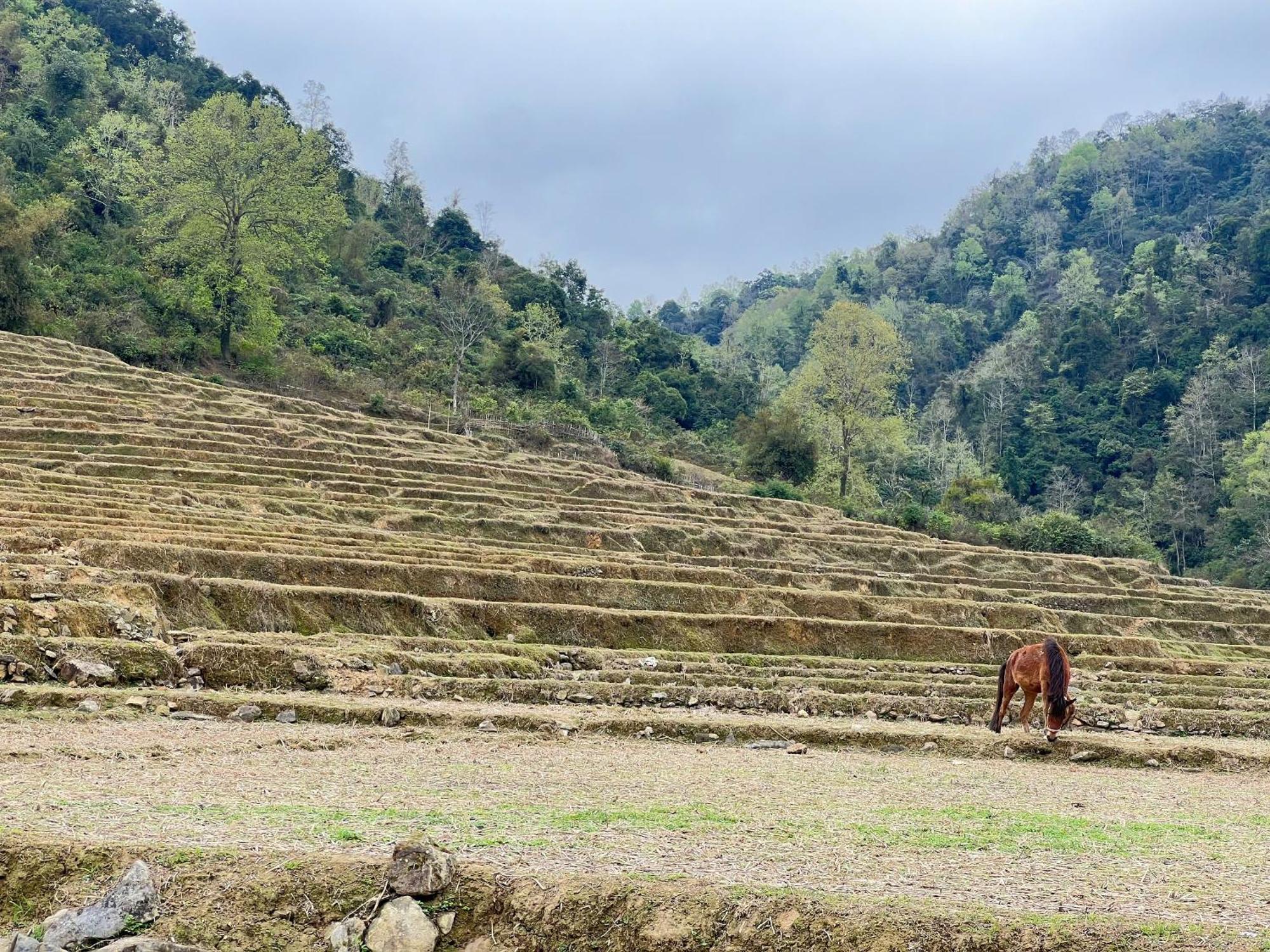 Lan Rung Homestay Lung Nieo エクステリア 写真